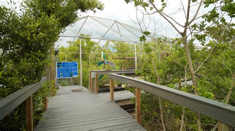 Florida Keys Wild Bird Rehabilitation Center Tavernier Boote Mieten Fewo Direkt