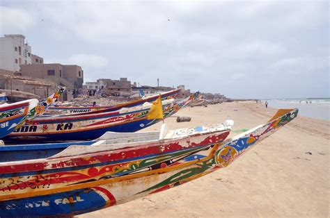 15 Sensational Facts About Senegal Fact City