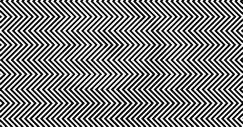 Can You Find The Animal Hidden Within This Dizzying Optical Illusion