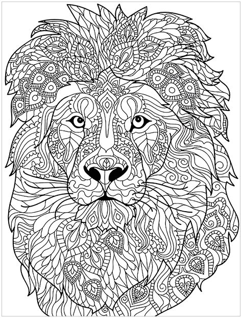 Adult Coloring Pages Lion At Getdrawings Free Download