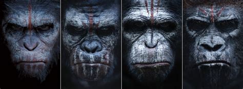 Rise Of The Apes Gorilla