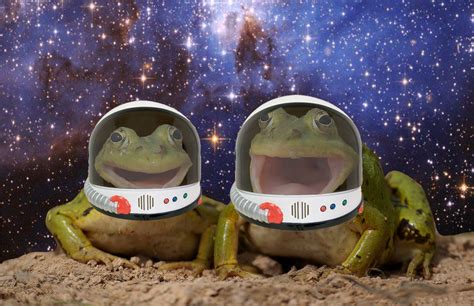 Frogs In Space By Derp Motions On Deviantart