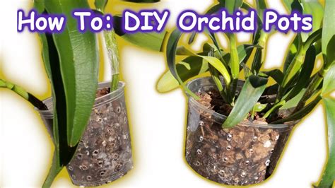 How To Diy Clear Orchid Pots Youtube