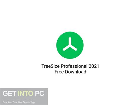 TreeSize Professional 2021 Free Download - PCHIPPO