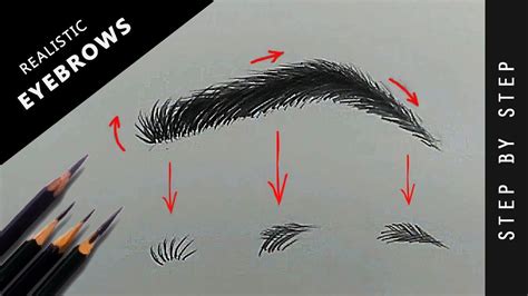 How To Draw Realistic Eyebrows For Beginners Youtube