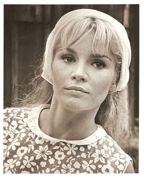 Tuesday Weld Original Vintage Amazing Portrait 1960s Ebay