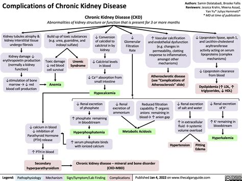 Complications Of Chronic Kidney Disease Ckd Calgary Guide