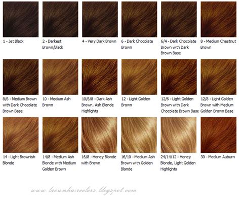 Brown Hair Colorshair Colorsbrown Hair Coloring Tips Hair Color Chart