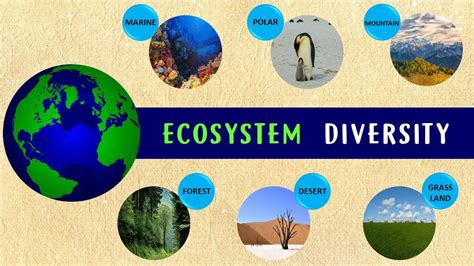 What Is Biodiversity Types Importance And Restoring B
