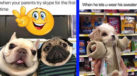 Try Not To Laugh 30 Of The Happiest Dog Memes Ever That