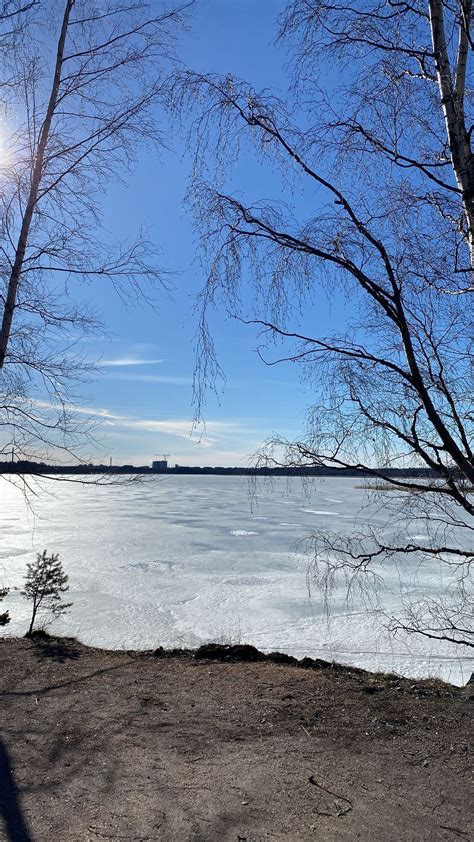 Frozen Lake In Finland