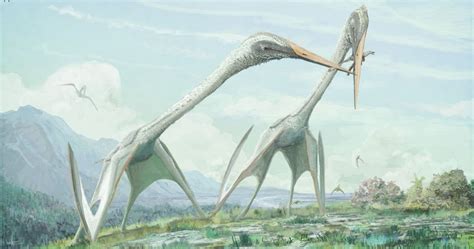 Τέχνης Σύμπαν και Φιλολογία Ο Τυραννόσαυρος των ουρανών Fossils Of Giant Pterosaurs Found In