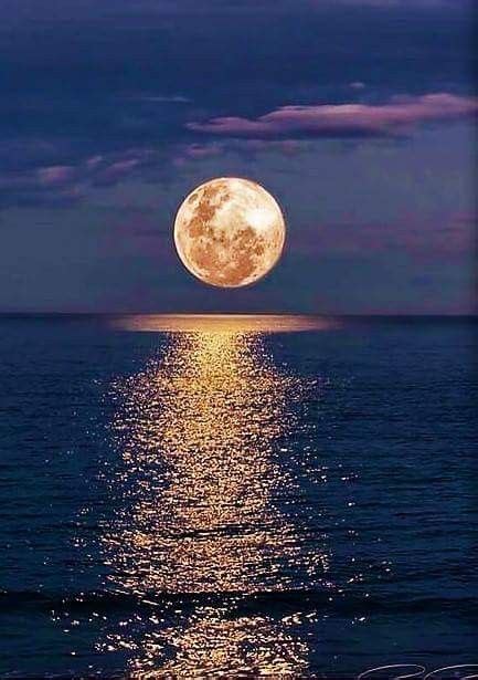 Full Moon ⭐🌝⭐ Moon Photography Nature Pictures Nature Photography