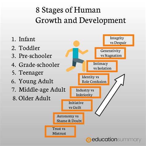 8 Stages Of Human Growth And Development From Infancy To Adulthood