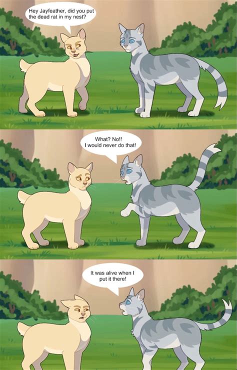 Warrior Cats Meme By Onemelonthing In 2021 Warrior Cats Comics