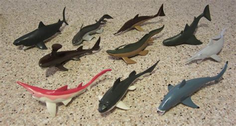 Prehistoric Sharks Toob By Safari Ltd Dinosaur Toy Blog