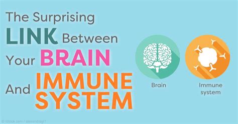 Direct Link Between Brain And Immune System Discovered