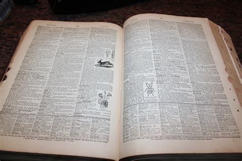 Large Antique Dictionary 1923 Websters New International