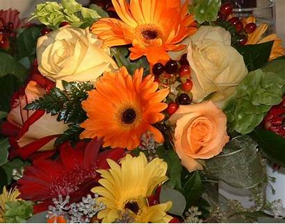 Autumn Fall Flowers Flower Background Baskets Picaboo