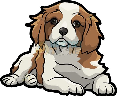 The Best Free Spaniel Clipart Images Download From 80 Free Cliparts Of