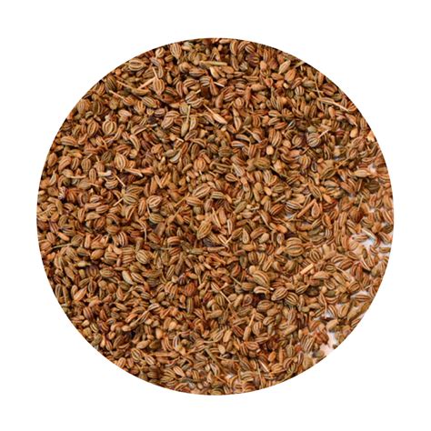 Ajwain Seeds Grocery Dried Food Herbs And Spices New Gum Sarn Fresh