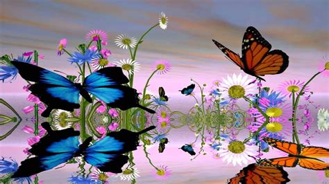 Fantastic Butterfly Animated Wallpaper http://www.desktopanimated.com ...