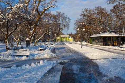 Kremenchuk City Ukraine December 14 2022 Alley Covered With Snow