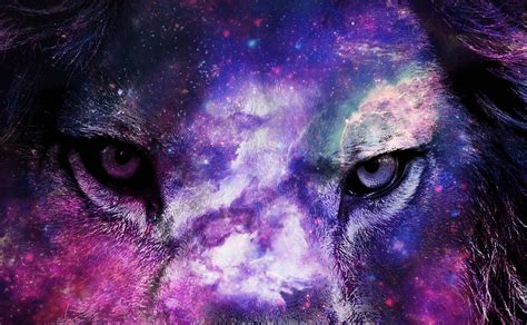 Space Lion Wallpapers Wallpaper Cave