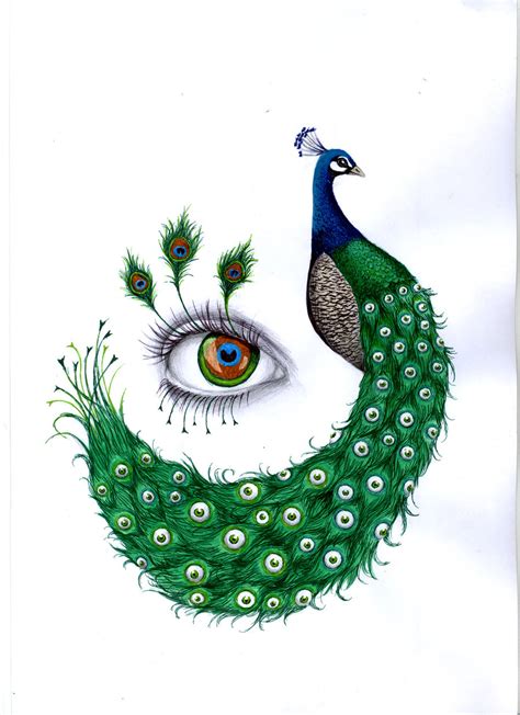 Peacock Pencil Drawing Colour Images