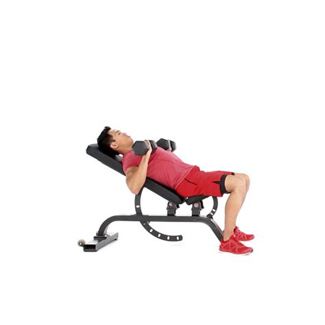 Armed with an incline bench and a pair of dumbbells, this exercise can bolster your entire upper body fitness routine. Alternating Incline Dumbbell Bench Press Video - Watch ...
