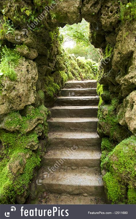 Stone Stairs At Nature Image