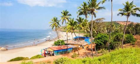 Enjoy Sun Sand And Surf At The Best Beaches Of Goa India Tourism Guide And Travel Newsindia
