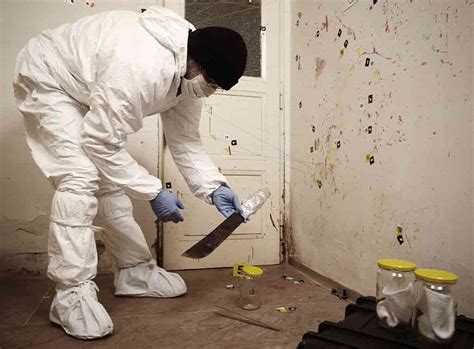How Much Does Crime Scene Cleanup Cost In 2024 Checkatrade