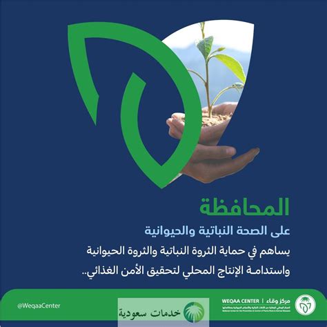 وقاء يعلن تفاصيل موسم انتشار الجراد 2023 بالسعودية وتأثيره على المحاصيل الزراعية