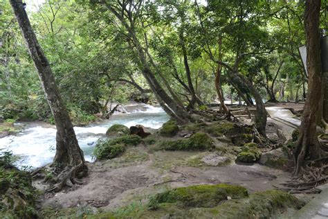 Free Images : tree, water, forest, wilderness, trail, river, stream ...