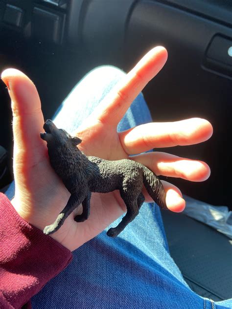 I got a figure of my theriotype!!! : r/Therian