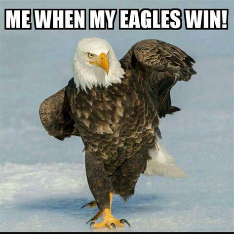 Pin On Eagles