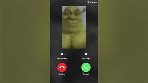 Calling Shrek At 3am Youtube