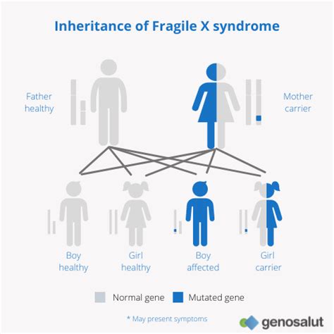Fragile X Syndrome In Infertility Premature Ovarian Failure Genosalut