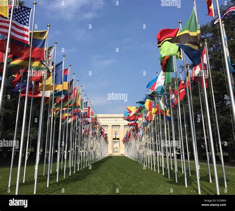 United Nations Building Flags