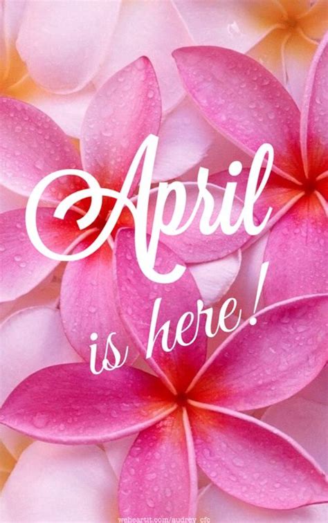 April Is Here April Hello April Birthday Month April Images