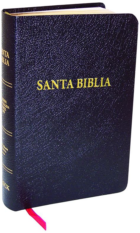 Bible Santa Biblia Rvg 2010 Center Reference Spanish Edition Kjv