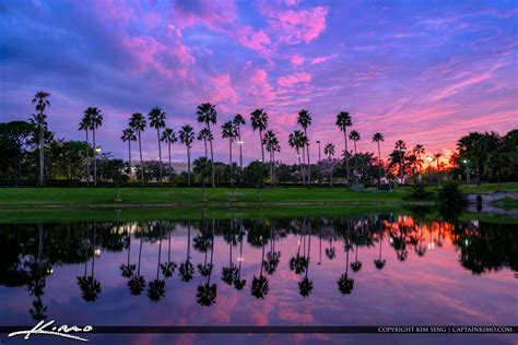 Palm Trees Over Lake Palm Beach Gardens Florida Sunset Hdr