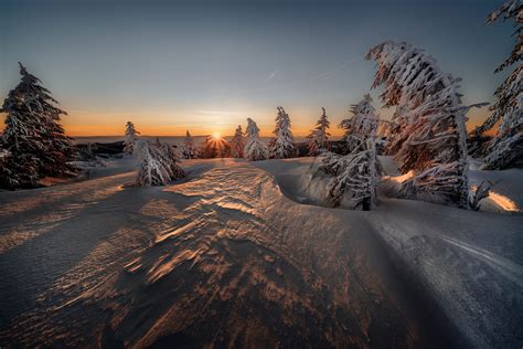Winter Hd Nature Spruce Sunset Snow Hd Wallpaper