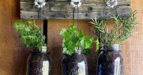 Diy Mason Jar Herb Gardening