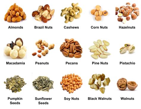 Nuts Vocabulary Materials For Learning English