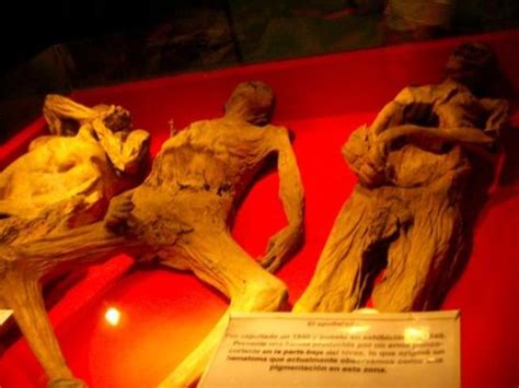 Creepy Dead People On Display Picture Of Museo De Las Momias De