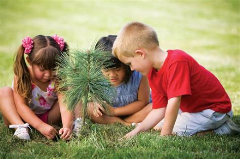 ¿cómo Acercar Los Niños A La Naturaleza ¡sigue Leyendo