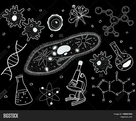 Biology Black And White
