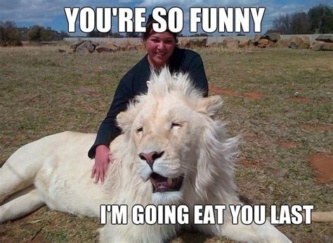 Funny Lions 5 Animal Encyclopedia